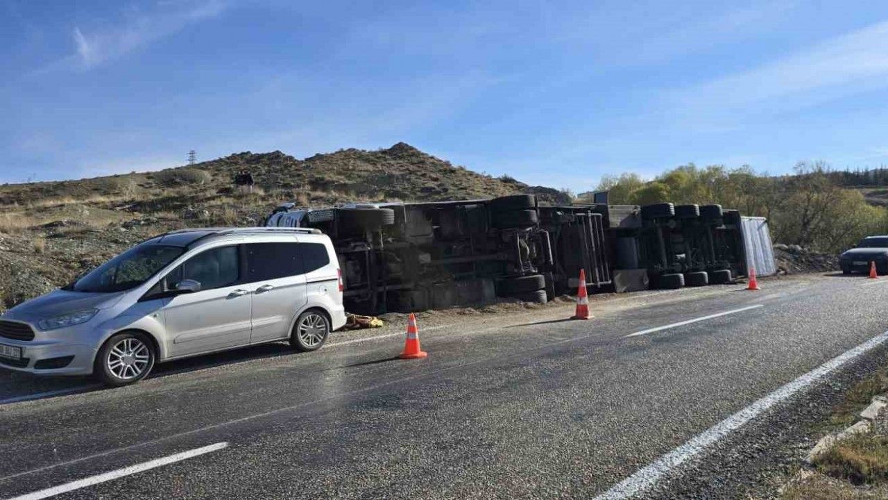 Devrilen tırdaki 2 inek telef oldu