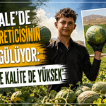 Kırıkkale'de kavun üretcisinin yüzü gülüyor: 'Rekolte de kalite de yüksek'