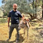 Film gibi olay: Protokol Yolu'na çıkan eşek yediemine çekildi