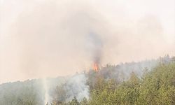 Mihalıççık'ta 1 hektar ormanlık alan yandı
