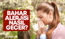 Bahar alerjisi nasıl geçer? Bahar alerjisine ne iyi gelir?