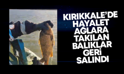 Kırıkkale’de hayalet ağlara takılan balıklar geri salındı