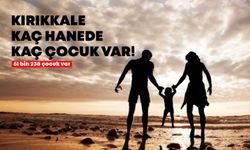 Kırıkkale'de kaç hanede kaç çocuk var!