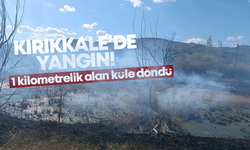 Kırıkkale’de yangın! 1 kilometrelik alan küle döndü!