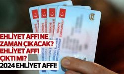 Ehliyet affı ne zaman çıkacak? 2024 Ehliyet affı çıktı mı?