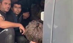 2 araçta 3 organizatör ve 23 Suriyeli düzensiz göçmen yakalandı