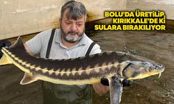 Bolu’da üretilip, Kırıkkale’de ki sulara bırakılıyor
