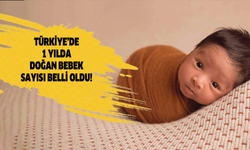 Türkiye’de 1 yılda doğan bebek sayısı belli oldu!