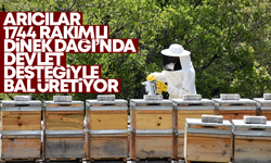 Arıcılar Kırıkkale’de devlet desteğiyle bal üretiyor