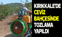 Kırıkkale’de ceviz bahçesinde tozlama yapıldı