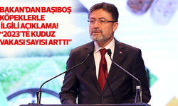 Bakan’dan başıboş köpeklerle ilgili açıklama! “2023'te kuduz vakası sayısı arttı”