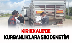 Kırıkkale’de kurbanlıklara sıkı denetim