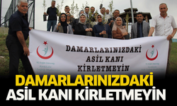 Damarlarınızdaki asil kanı kirletmeyin