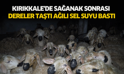 Kırıkkale'de sağanak sonrası dereler taştı, ağılı sel suyu bastı