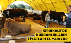 Kırıkkale’de kurbanlıkların fiyatları el yakıyor