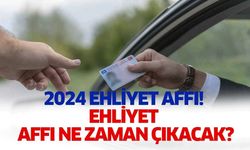 2024 Ehliyet Affı ne zaman çıkıyor? 2024 Ehliyet affı kimleri kapsıyor?