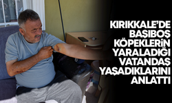 Kırıkkale'de başıboş köpeklerin yaraladığı vatandaş, yaşadıklarını anlattı