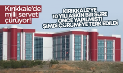 Kırıkkale’de milli servet çürüyor!