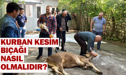 Kurban kesim bıçağı nasıl olmalıdır?