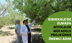 Kırıkkale'de ‘Elmada Biyolojik Mücadele Projesinde’ önemli adım