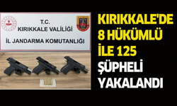 Kırıkkale'de 8 hükümlü ile 125 şüpheli yakalandı