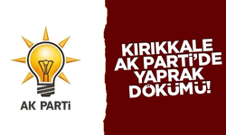 Kırıkkale AK Parti’de o isim görevden alındı!