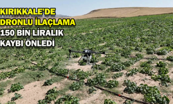 Kırıkkale’de dronlu ilaçlama 150 bin liralık kaybı önledi