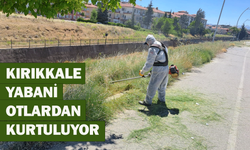 Kırıkkale yabani otlardan kurtuluyor