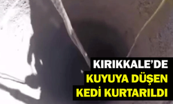 Kırıkkale’de kuyuya düşen kedi kurtarıldı