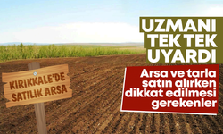 Uzmanı tek tek anlattı! Arsa ve tarla alırken dikkat edilmesi gerekenler!