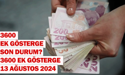 3600 Ek Gösterge son durum? 3600 Ek Gösterge 13 Ağustos 2024