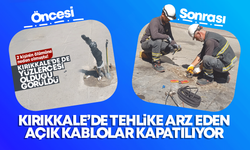 Kırıkkale’de yüzlerce bulunuyordu! Başkent EDAŞ harekete geçti!