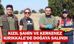 Kızıl Şahin ve Kerkenez Kırıkkale’de doğaya salındı