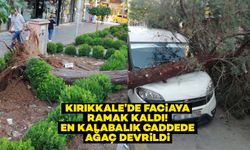 Kırıkkale’de faciaya ramak kaldı! En kalabalık caddede ağaç devrildi