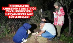 Kırıkkale’de annesinin terk ettiği yavru köpekleri, hayvansever aile sütle besledi