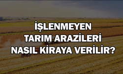 İşlenmeyen tarım arazileri nasıl kiraya verilir?