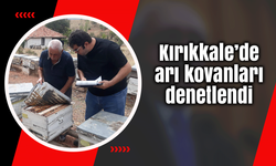 Kırıkkale’de arı kovanları denetlendi