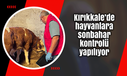 Kırıkkale’de hayvanlara sonbahar kontrolü yapılıyor