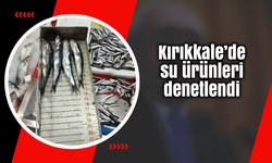 Kırıkkale’de su ürünleri denetlendi