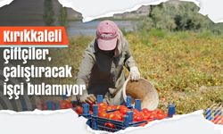 Kırıkkaleli çiftçiler, çalıştıracak işçi bulamakta zorlanıyor