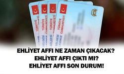 Ehliyet affı ne zaman çıkacak? Ehliyet affı çıktı mı? Ehliyet affı son durum!