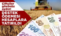 Çiftçiler gözünüz aydın! Paralar hesaplara yattı!