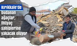 Kırıkkale’de budanan ağaçlar, ihtiyaç sahiplerine yakacak oluyor