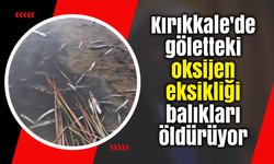 Kırıkkale'de göletteki oksijen eksikliği balıkları öldürüyor