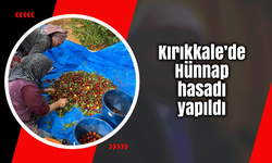 Kırıkkale’de Hünnap hasadı yapıldı