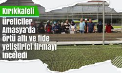 Kırıkkaleli üreticiler Amasya’da örtü altı ve fide yetiştirici firmayı inceledi