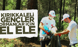 Kırıkkale'de gençler, ormanlar için el ele!