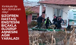 Kırıkkale'de tartıştığı eniştesini öldüren şizofren hastası, annesini de ağır yaraladı