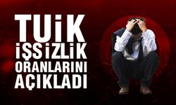 TÜİK, işsizlik oranlarını açıkladı