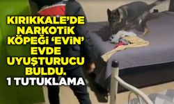 Kırıkkale’de Narkotik Köpeği ‘evin’ evde uyuşturucu buldu. 1 tutuklama